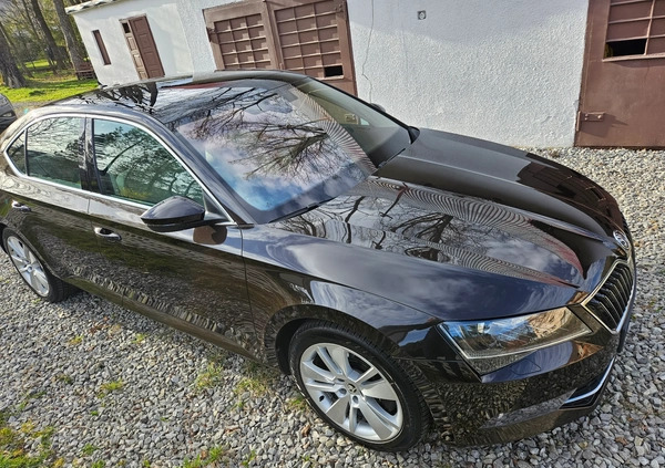 Skoda Superb cena 96900 przebieg: 142000, rok produkcji 2017 z Łęknica małe 191